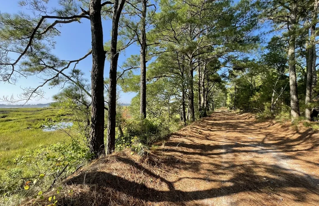 Assawoman Canal Trail